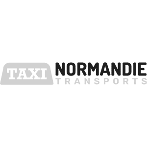 logo-taxi-normandie-transport