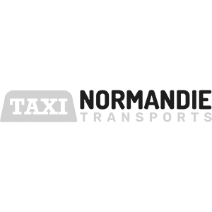 logo-taxi-normandie-transport.png